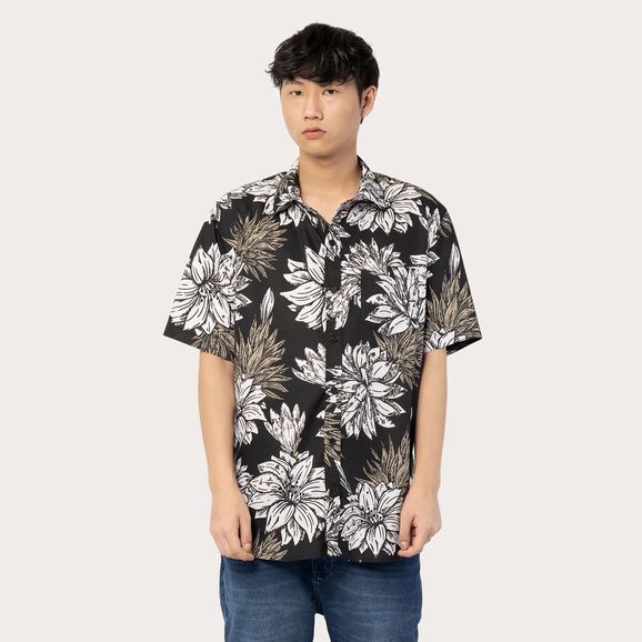 image-e20c76deaccc4ea3a8e0c763b788490f