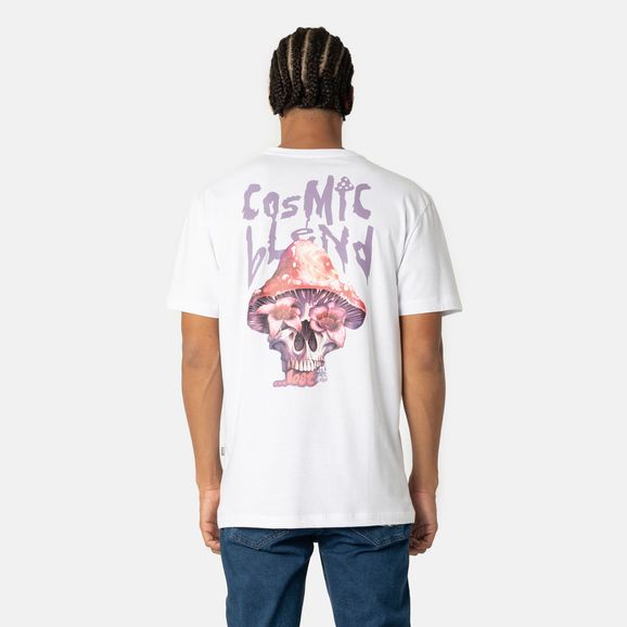 image-c25b0e0c4120495db4035caeb2f658f1