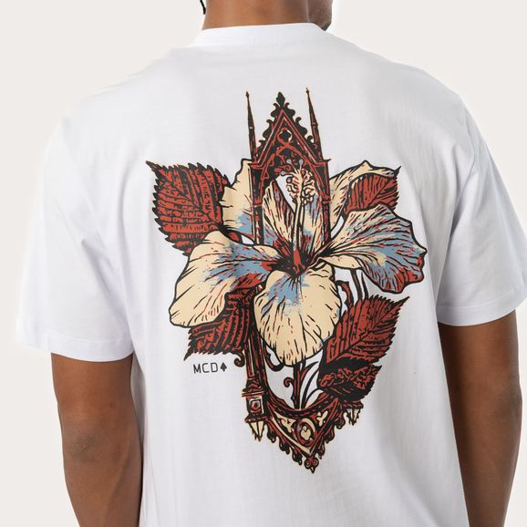 image-1ab2907da395481baf56107d33530159